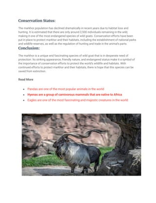 Markhor_ A Unique and Endangered Species of Goat.pdf