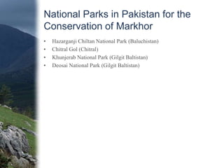Our Concern to Conservation
• Following biodiversity conservation projects were launched with a focus
on Markhor Conservat...