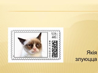 Якія
злуюцца
 