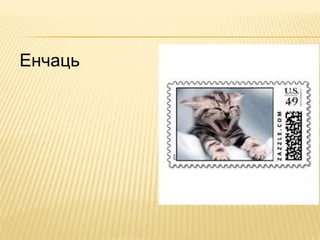 Енчаць
 
