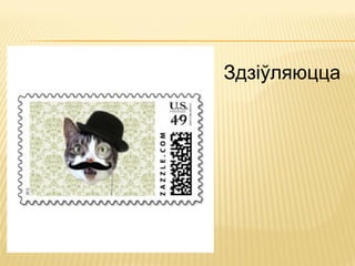 Здзіўляюцца
 