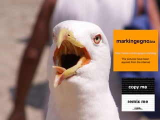 markingegno .biz http://www.markingegno.biz/blog The pictures have been  aquired from the internet 