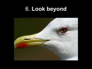 6.  Look beyond 