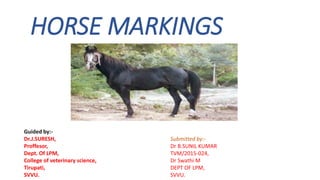 HORSE MARKINGS
Guided by:-
Dr.J.SURESH,
Proffesor,
Dept. Of LPM,
College of veterinary science,
Tirupati,
SVVU.
Submitted by:-
Dr B.SUNIL KUMAR
TVM/2015-024,
Dr Swathi M
DEPT OF LPM,
SVVU.
 