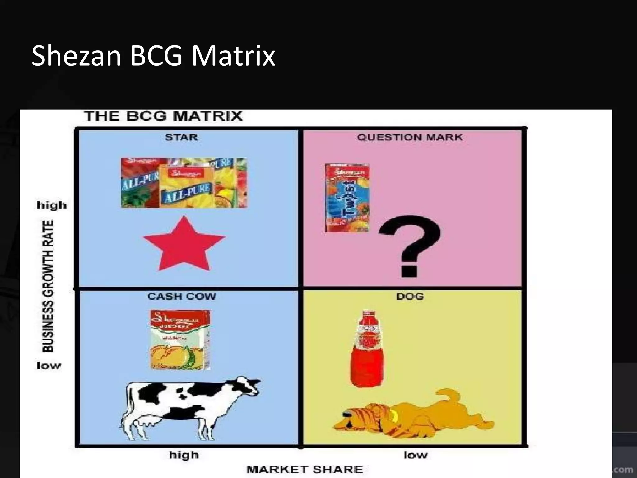 Shezan BCG Matrix
 