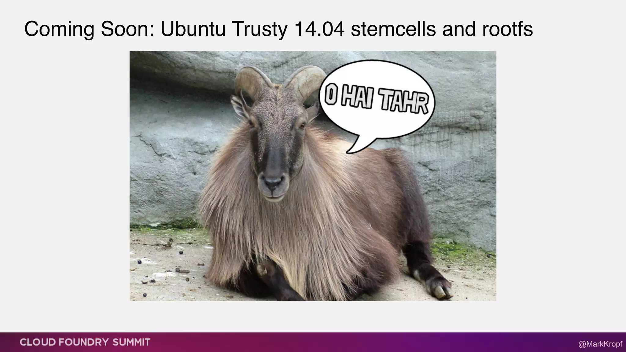 Coming Soon: Ubuntu Trusty 14.04 stemcells and rootfs
13 @MarkKropf