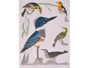 Mark Macmillan - Paisley