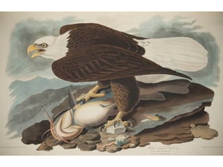 Mark Macmillan - Paisley