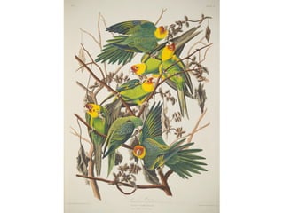 Mark Macmillan - Paisley