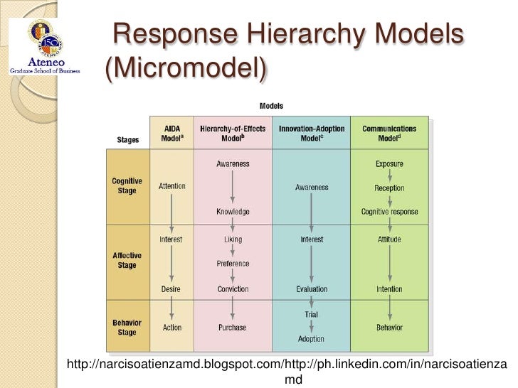Hierarchy models of customers responses to advertising marketing essay 02 picture