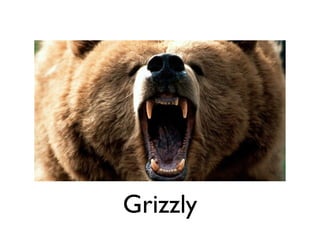 Grizzly
 