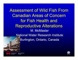 Assessment of Wild Fish From
 Canadian Areas of Concern
     for Fish Health and
  Reproductive Alterations
             M. McMaster
   National Water Research Institute
     Burlington, Ontario, Canada
 