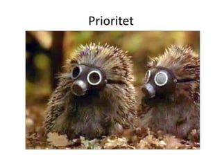 Prioritet
 