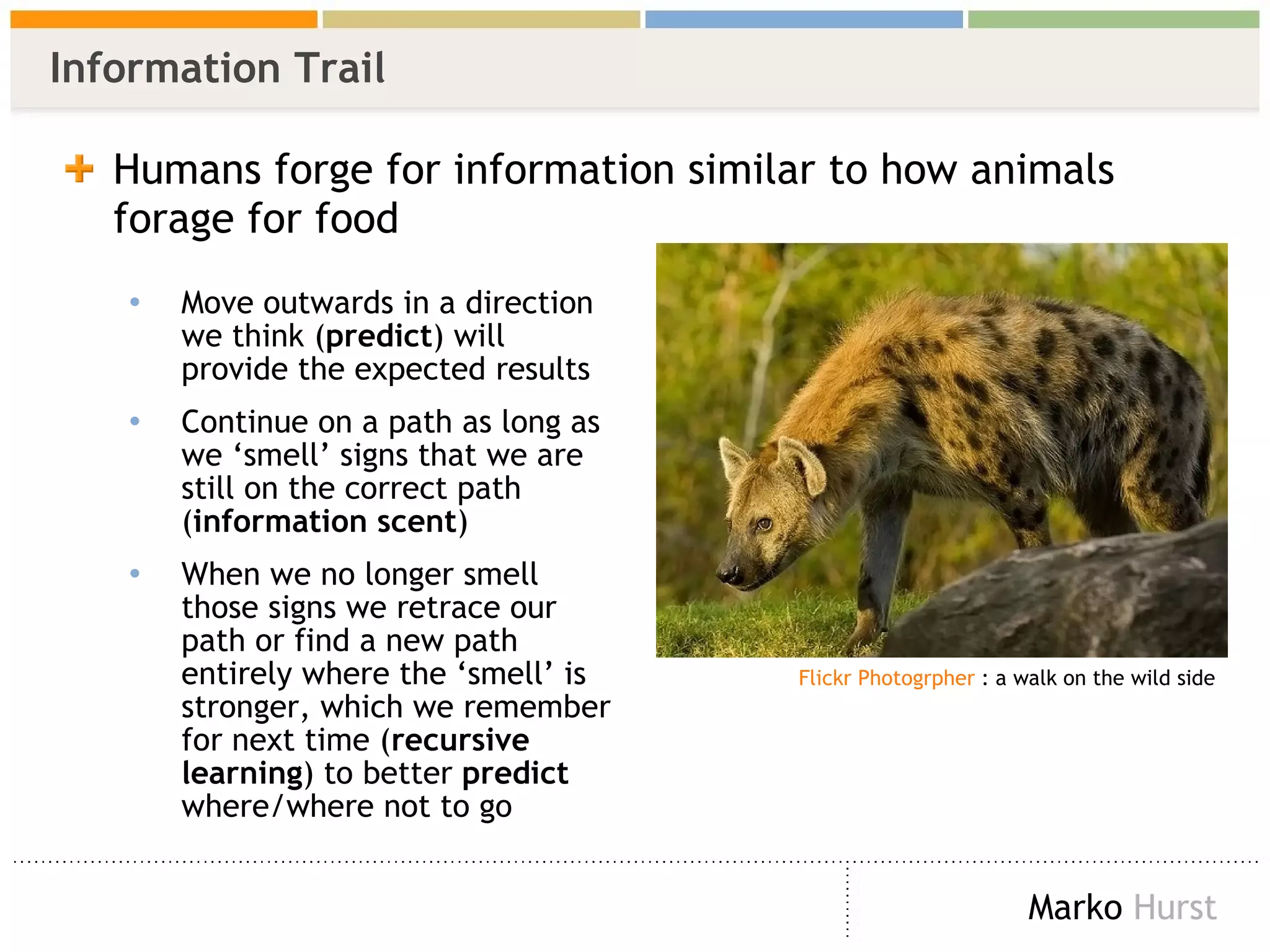 Information Trail Humans forge for information similar to how animals forage for food Move outwards in a direction we think ( predict ) will provide the expected results  Continue on a path as long as we ‘smell’ signs that we are still on the correct path ( information scent ) When we no longer smell those signs we retrace our path or find a new path entirely where the ‘smell’ is stronger, which we remember for next time ( recursive learning ) to better  predict  where/where not to go Flickr  Photogrpher  : a walk on the wild side 