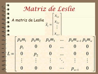Matriz de Leslie
                           x1,t 
  A matriz de Leslie   x 
                     xt   2 ,t 
                            
                           
                           x w ,t 
   p0 m1      p0 m2     p0 m3 ... p0 mw1 p0 mw 
   p            0        0    ...    0      0  
   1
L 0           p2        0    ...    0      0 
                                                
                                        
   0
                0        0        pw1     0  
 