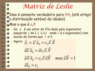 Matriz de Leslie
4 Isso é somente verdadeiro para t>t1 (até atingir
  a distribuição estável de idades)
4 Mas o que é c1?
        
  – Se  é um vetor de fila dado pelo eigenvetor
                         
    esquerdo  de L ( L= onde  é o eigenvalor) com
                         
    escala de forma que  x=1
                            
  – Agora x  Lt x  c t X
            t       0    1
            t       t
            L x0   c1 X
            t                  
             x0  c1  X
                        t
                               mas  X  1
           
            x0  c1
 