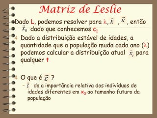 Matriz de Leslie
                                         
Dado L, podemos resolver para , X ,      , então
  
  x0 dado que conhecemos c1
4 Dado a distribuição estável de idades, a
  quantidade que a população muda cada ano ()
                                        
  podemos calcular a distribuição atual xt para
  qualquer t

            
4 O que é  ?
    
  –  da a importância relativa dos indivíduos de
    idades diferentes em x0 ao tamanho futuro da
    população
 