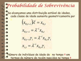 Probabilidade de Sobrevivência
Se alcançamos uma distribuição estável de idades,
  cada classe de idade aumenta geometricamente por
  
          x 
              0 ,t  i
                       i
                         x0 ,t

           x0,t i   x0,t
                         i


           x0,t i i   x0,t  i
                              i


           xi ,t   x0,t  i
                    i



Número de indivíduos de idade de i no tempo t em
  termos do número de recém nascidos no tempo t
 
