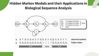 Markov chain and Hidden Markov Chain model | PDF