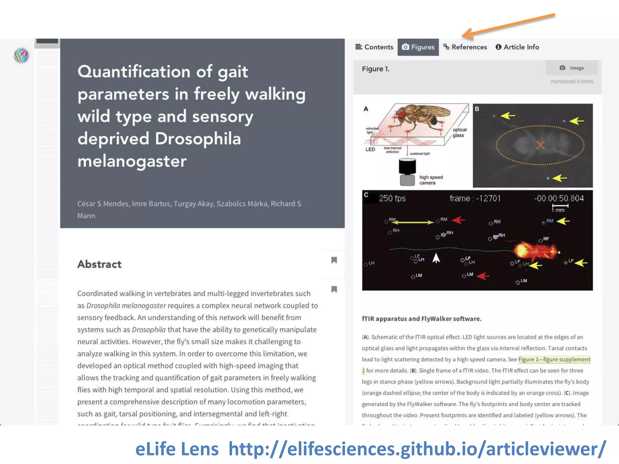 eLife Lens http://elifesciences.github.io/articleviewer/

 