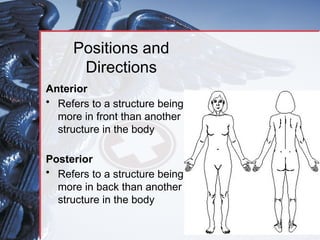 introduction to human anatomy and the different body movements | PPTX