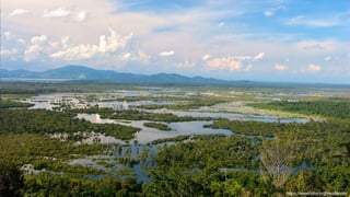 Identifying core biophysical criteria and indicators for peatland monitoring and research