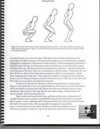 Mark Rippletoe Routine Starting Strength, by Mark Rippetoe | PDF