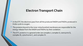 Redox reactions in cellular respiration.pptx