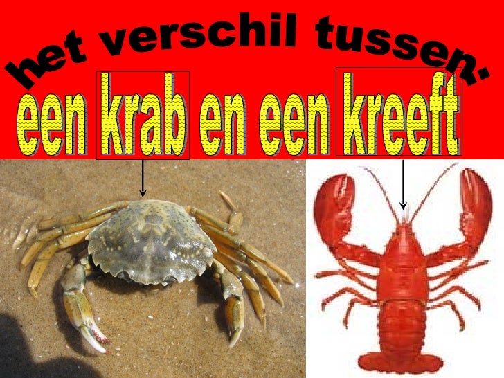De krab
