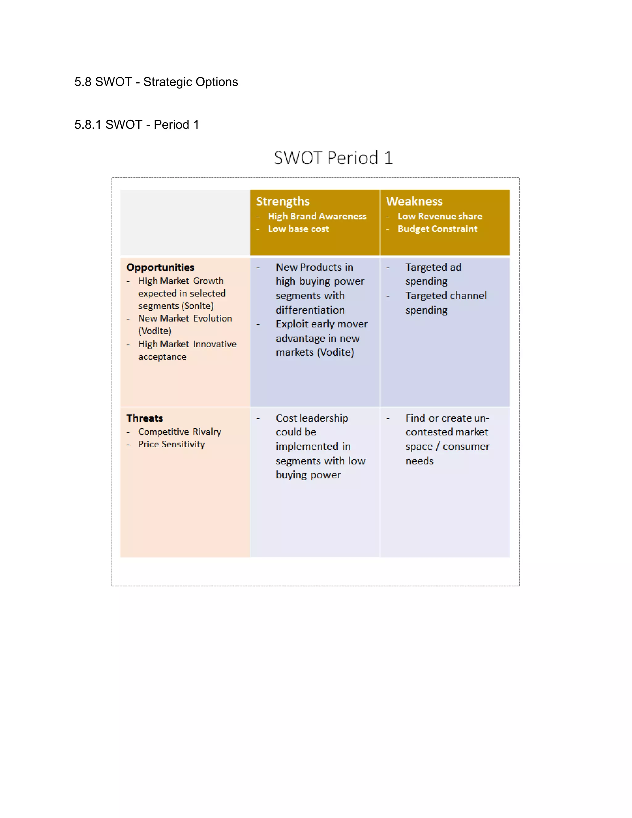 5.8 SWOT - Strategic Options
5.8.1 SWOT - Period 1
 