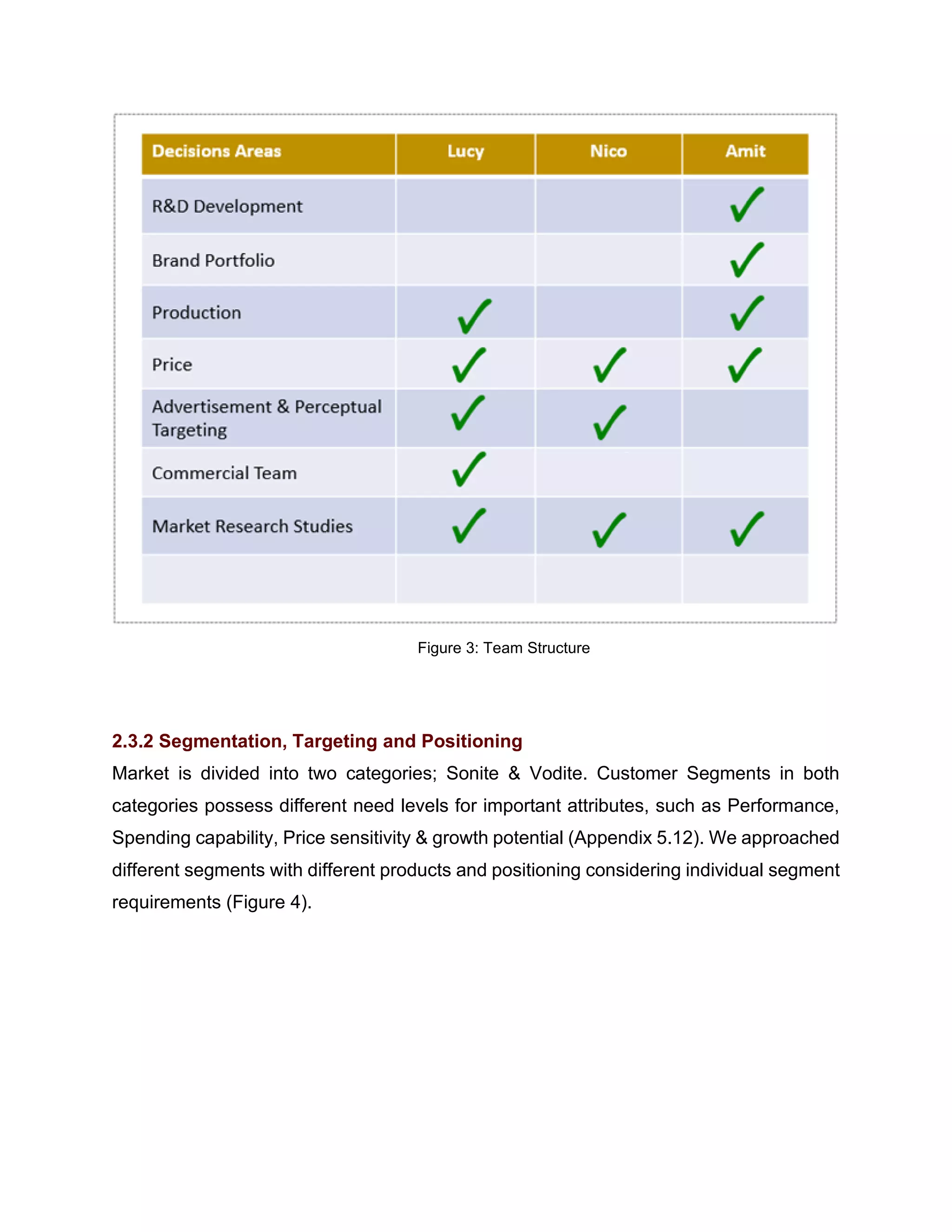 Figure 3: Team Structure
2.3.2 Segmentation, Targeting and Positioning
Market is divided into two categories; Sonite & Vodite. Customer Segments in both
categories possess different need levels for important attributes, such as Performance,
Spending capability, Price sensitivity & growth potential (Appendix 5.12). We approached
different segments with different products and positioning considering individual segment
requirements (Figure 4).
 