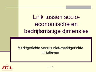 Link tussen socio-economische en bedrijfsmatige dimensies Marktgerichte versus niet-marktgerichte initiatieven 