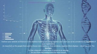 I believe your website architecture is the skeleton holding everything together and I want you to be considered the backbone of
your organisation.
As important as the people that used to choose store locations, dress windows, organise stock displays – rolled into one. The
lynchpin.
I’m like a dog with a bone when it comes to an analogy.
Do you know the medical term for bone tissue?
 