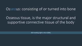 Osseous: consisting of or turned into bone
Osseous tissue, is the major structural and
supportive connective tissue of the body
SEO nestling right in the middle.
 