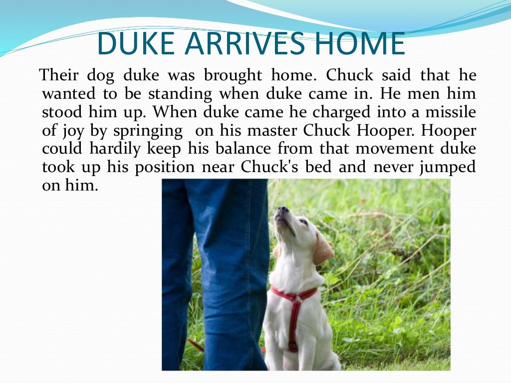 A Dog Named Duke