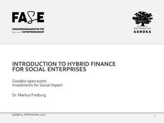 Markus Freiburg - Intro to hybrid finance for social enterprises