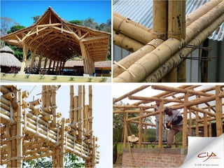 Markus Roselieb_Modern Structural Bamboo Architecture | PDF