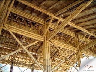 Markus Roselieb_Modern Structural Bamboo Architecture | PDF