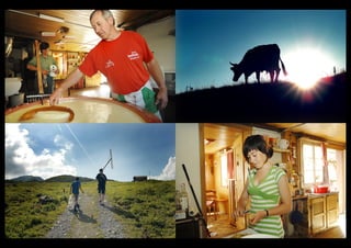 Markus Schneeberger Portfolio