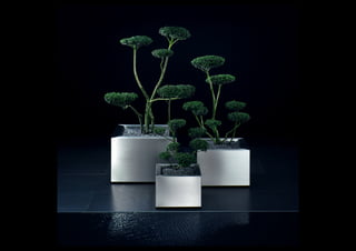 Markus Schneeberger Portfolio