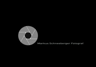 Markus Schneeberger Portfolio