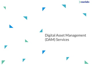 Digital Asset Management
(DAM) Services
 