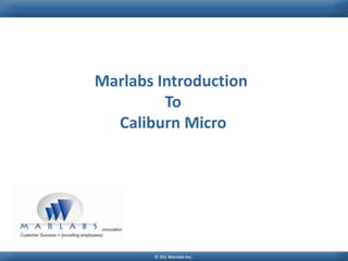 Marlabs Introduction
         To
  Caliburn Micro




       © 201 Marlabs Inc.
 