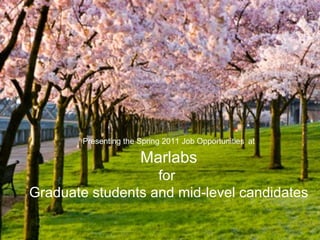 Presenting the Spring 2011 Job Opportunities   at Marlabs for  Graduate students and mid-level candidates 