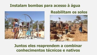 Juntos eles reaprendem a combinar
conhecimentos técnicos e nativos
Instalam bombas para acesso à água
Reabilitam os solos
 