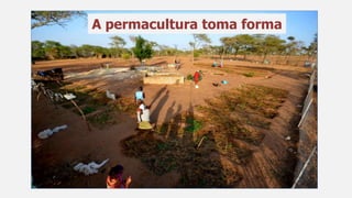 A permacultura toma forma
 