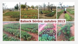 Baback Sérère: outubro 2013
 