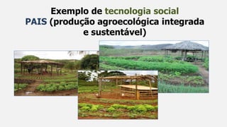 Exemplo de tecnologia social
PAIS (produção agroecológica integrada
e sustentável)
 