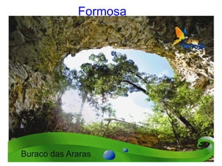 Formosa 