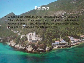 Relevo
• A Cadeia da Arrábida, inclui elevações como as Serras de
S.Luis, Gaiteiros, Francisco e Louro, atingido o mais elevado
expoente com a Serra da Arrábida, de constituição calcária,
local onde se verifica o contacto com o mar.
 